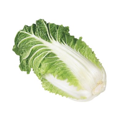 Nappa Cabbage *BIG*