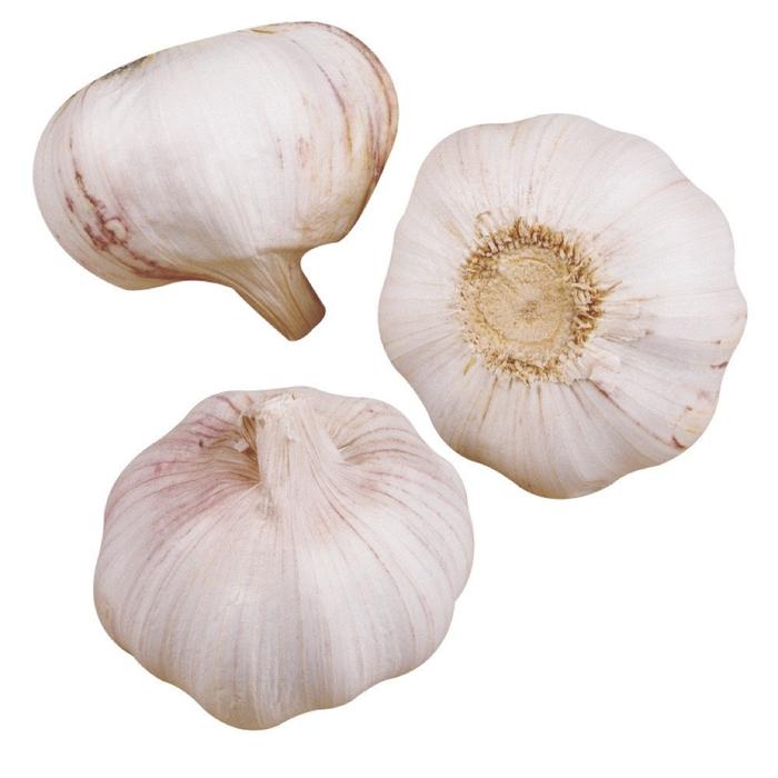Garlic Spain (3 heads)