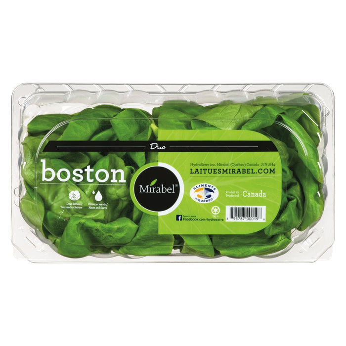 Boston Lettuce (Duo Pack)