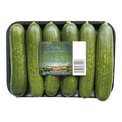 Lebanese Cucumber (6 units)
