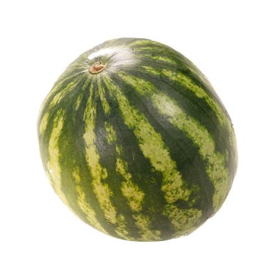 Watermelon (ea.)
