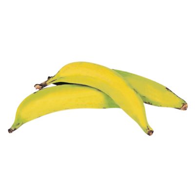 Plantain-Banana (1 lb)